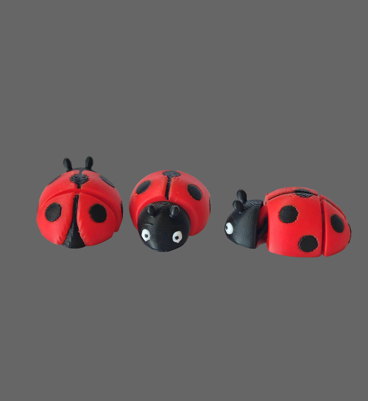 Dotty, an Adorable 3D Printed Ladybug with personality to spare